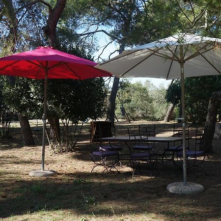 Joli Mas Au Bord De L'Etang De Thau Villa Marseillan  Eksteriør billede