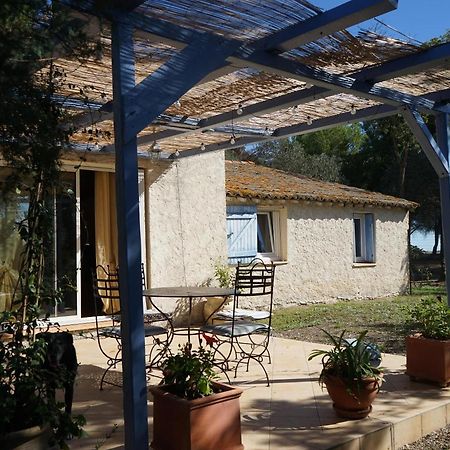 Joli Mas Au Bord De L'Etang De Thau Villa Marseillan  Eksteriør billede