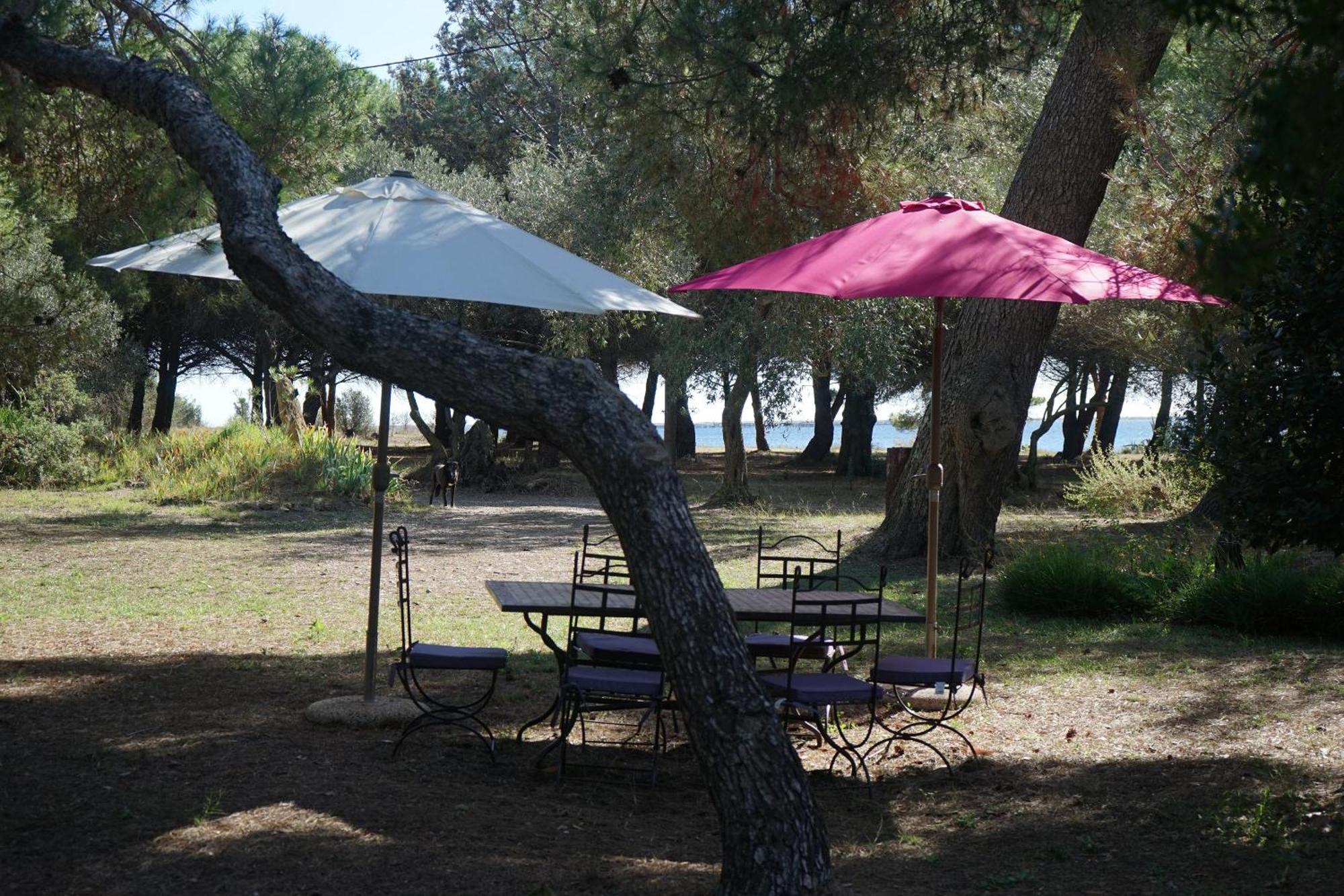 Joli Mas Au Bord De L'Etang De Thau Villa Marseillan  Eksteriør billede